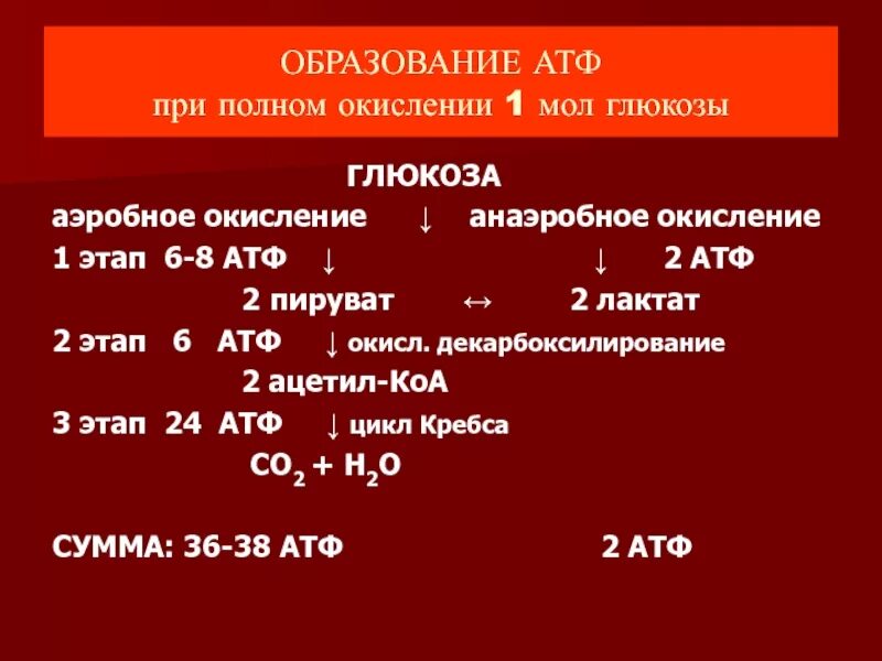 Сколько грамм образуется в результате. АТФ при окислении Глюкозы. Количество АТФ при окислении Глюкозы. Окисление Глюкозы сколько АТФ. Окисление АТФ.