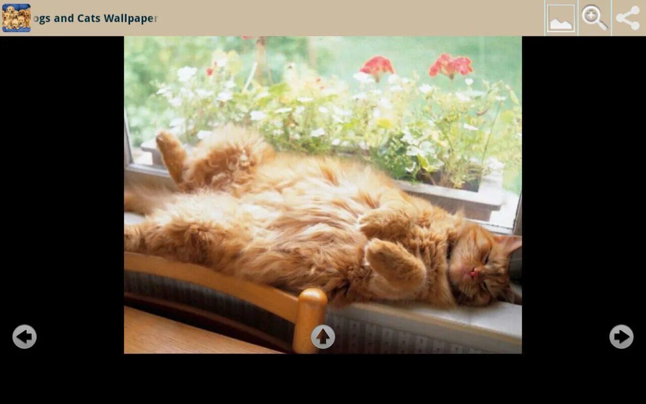 Не напрягайся. Жить не напрягаясь. Никого не напрягаю. Не напрягайся картинки. Не напрягаться картинки.