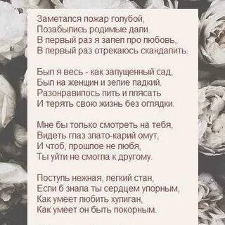 Нежные руки стихотворение