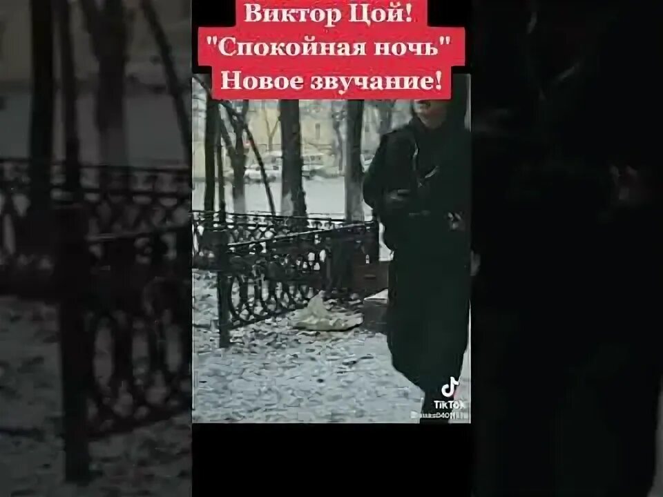 Цой каждую ночь. Цой каждую ночь