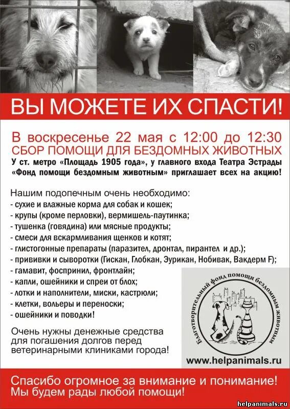 Помощь бездомным животным елец. Сбор средств для бездомных животных. объявление помощь бездомным животным. объявления о помощи животным. объявление о бездомных собаках.