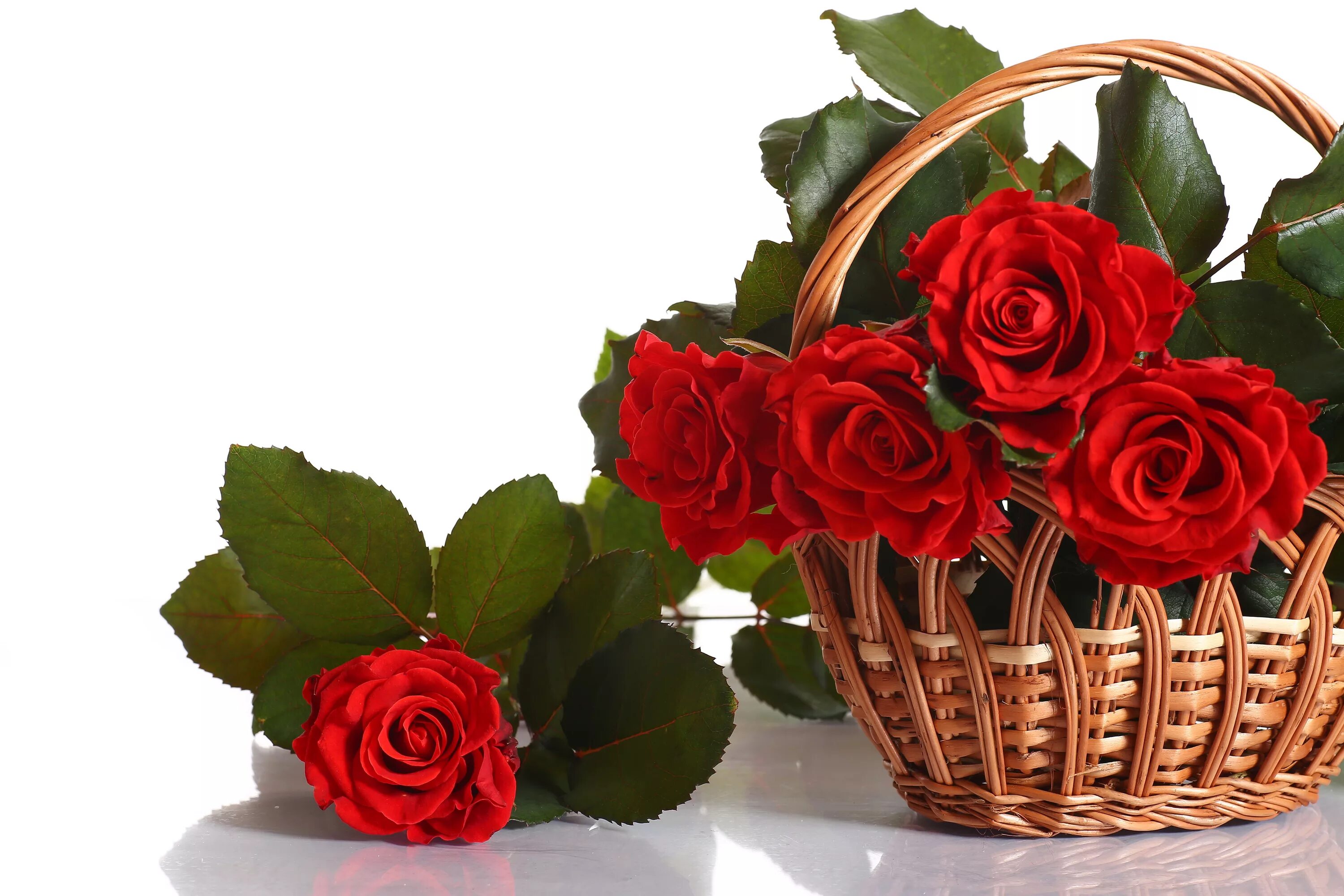 Facebook Beautiful roses, Beautiful flowers, Pink flowers