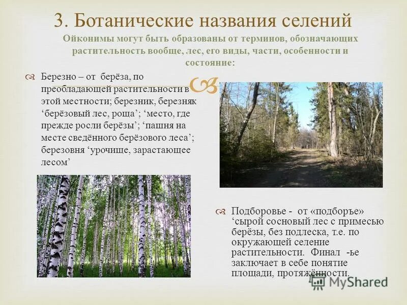 Растительный покров красноярского края. Приспособление растений в степи. Вымершие растения пермского края. Какая растительность преобладает в нашем крае. Приспособление растений и животных в степи.