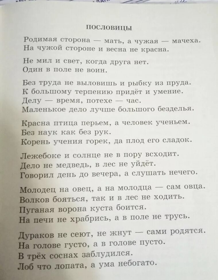 Сочинение про пословицу. Маленькое сочинение на тему пословицы. Рассказ по пословице. Сочинение из пословиц. Волка бояться в лес не ходить ответ