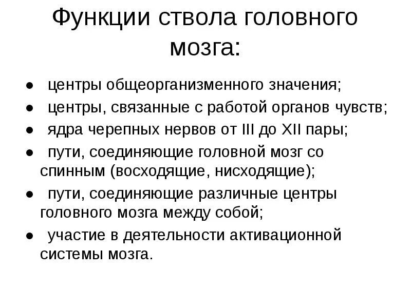 Высшая функция мозга человека это. Функции ствола головного мозга.