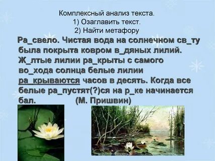 Анализ текста на воду