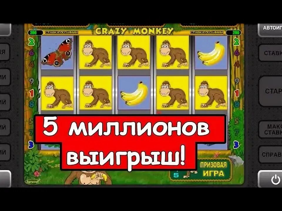 Как выиграть в обезьянки на вулкане. Обезьяна казино выигрыш. самый большой выигрыш в казино обезьянки. обезьяна казино.
