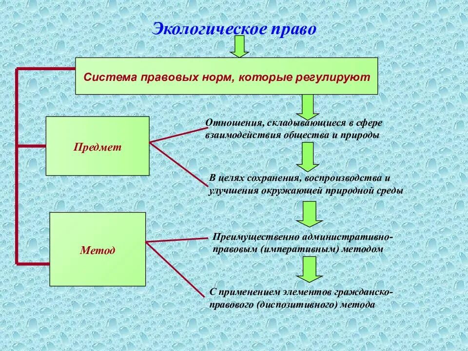 Предмет метод экологического