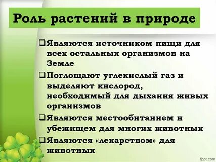 Какие утверждения верны ботаника наука о растениях