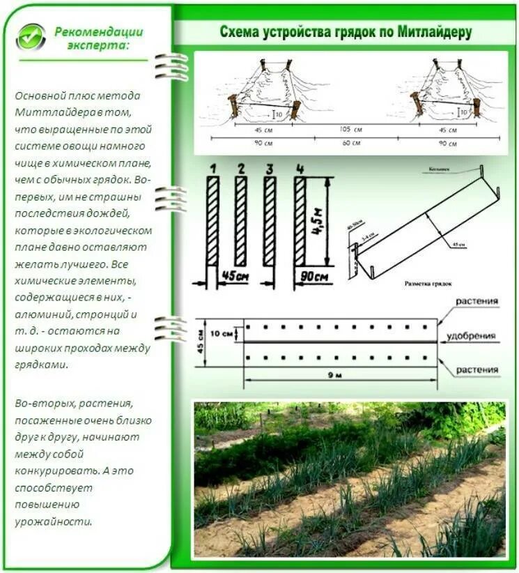 Размер грядок на огороде. Технология посадки грядок Митлайдера. Огород по Митлайдеру схема посадки. Метод Митлайдера миттлайдеровские грядки. Метод Митлайдера посадка картофеля схема посадки.