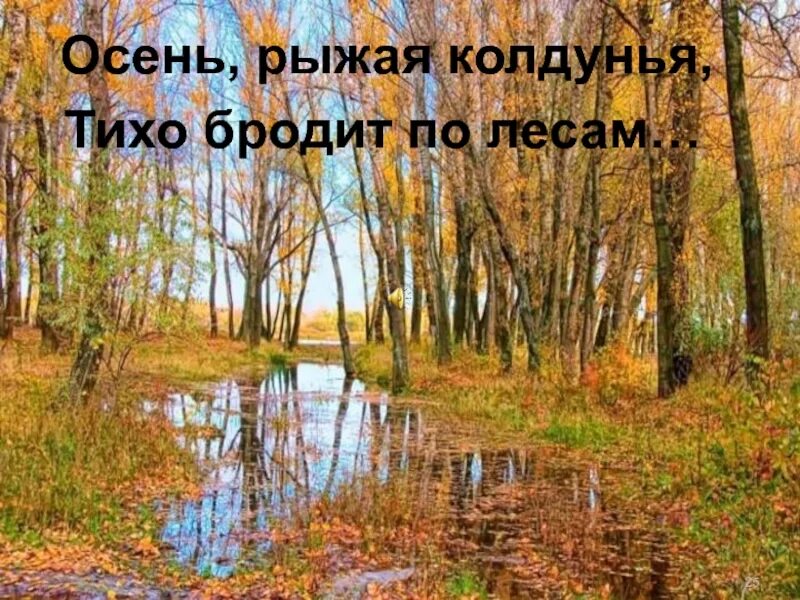 Вечер бродит по лесным. Бродить по лесам. Вечер бродит по лесным дорожкам. Вечер бродит по лесным текст. Песни вечер бродит по лесным дорожкам