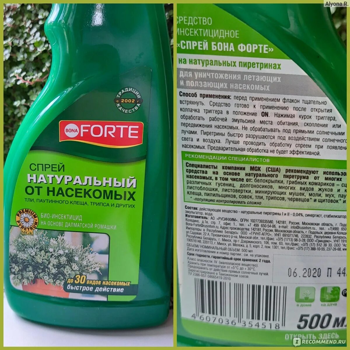 Bona forte от тли. Бона форте спрей от насекомых 500мл. Bona forte от тли. 750 мл/ 8. Бона форте от тли.