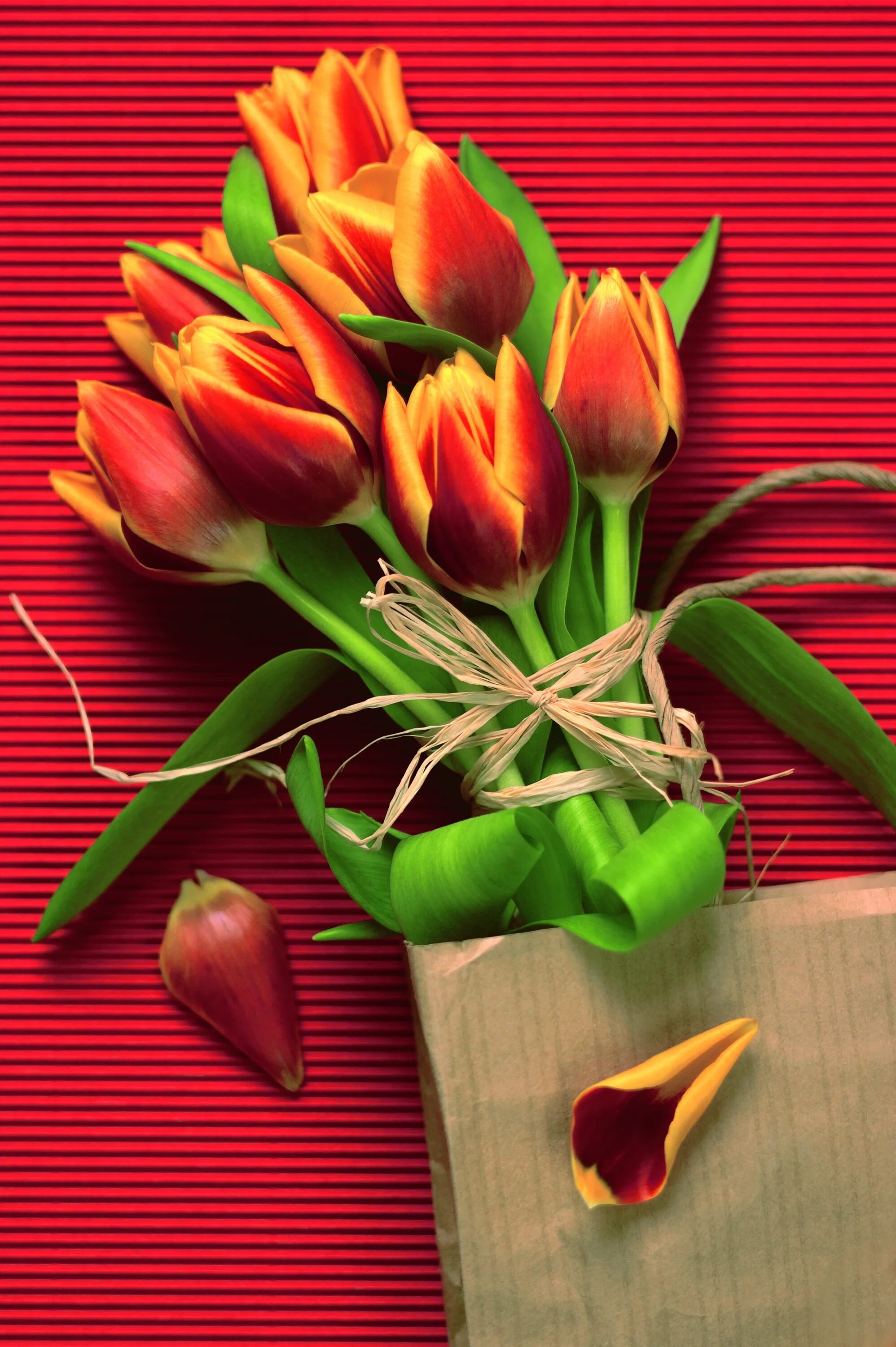 Тюльпаны стильные картинки. Тюльпаны открытка. Креативные тюльпаны. С днём рождения тюльпаны.