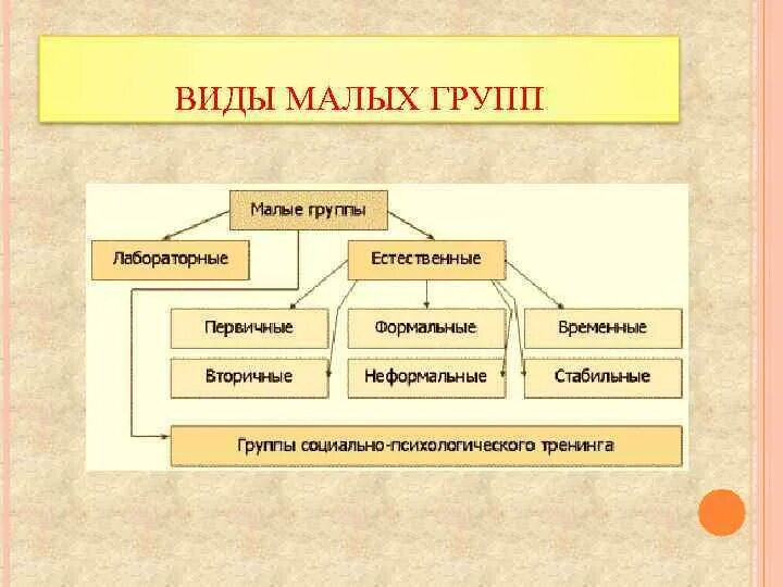 Схема малые группы в нашем классе 6 класс по обществознанию. Малые группы нашего класса по обществу 6 класс схема. Схема малые группы в нашем классе. Виды малых групп схема. Составить схему малые группы