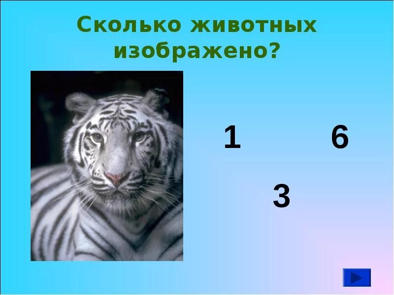 Сколько животных изображено. Сколько живетный на картинке. Сколько животных на картинке. Головоломка сколько животных.