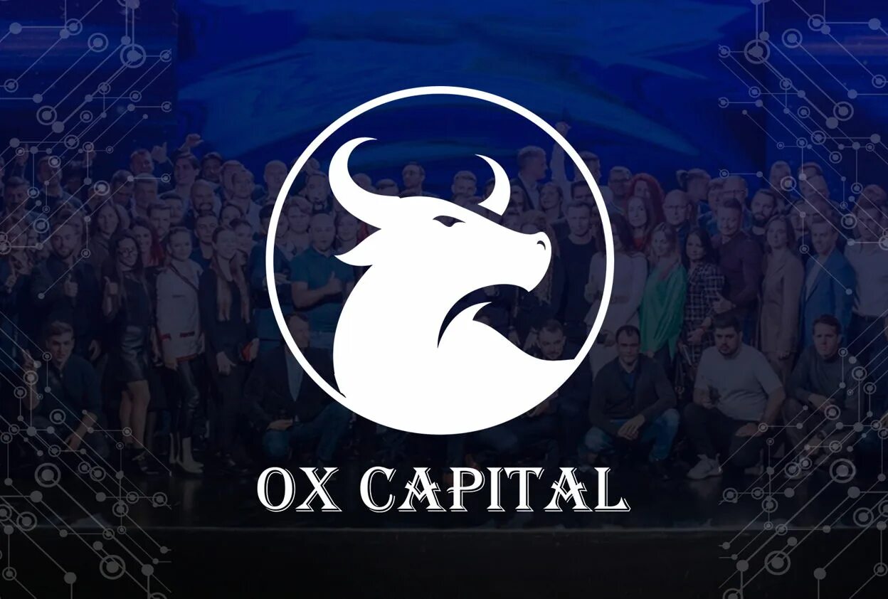 Ox Capital франшиза. Окс Кэпитал. Ox Capital.