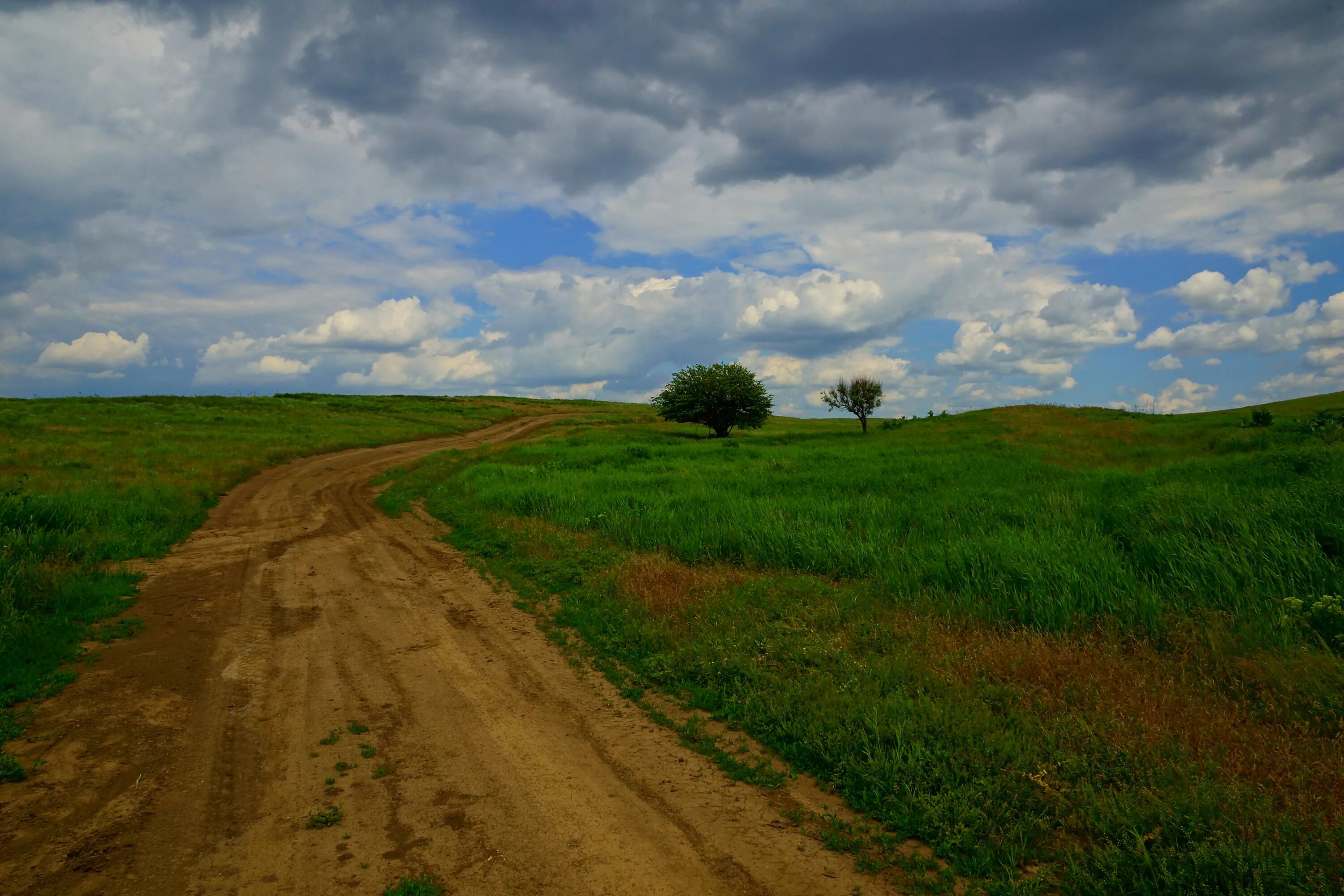 озеро сенколь киргизия. трек вокруг хубсугула. ковыльная степь хакасия. круглые низкие холмы распаханные и засеянные доверху разбегаются. путник на дороге.