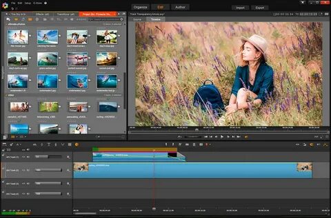 Olive video editor