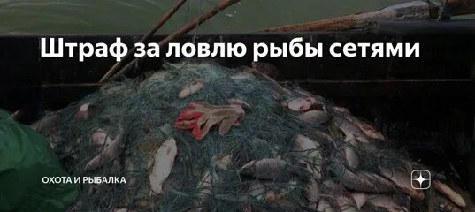 Какие штрафы за рыбу. Штраф за ловлю сетями. штраф за рыбалку сетями. штрафы за ловлю рыбы сетями. штраф за сети рыболовные.