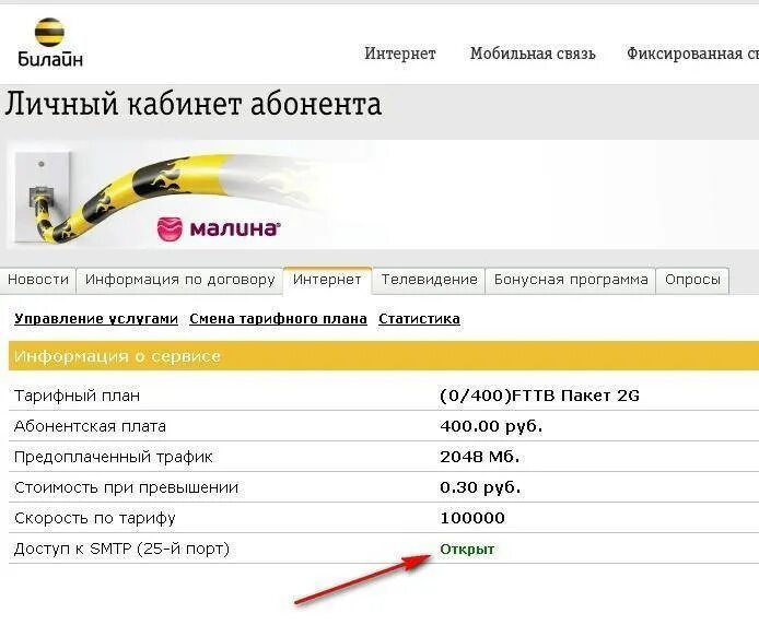 Почему в билайне в личном кабинете. Билайн личный кабинет. Билайн интернет. Билайн интернет личный кабинет. Домашний интернет Билайн личный.