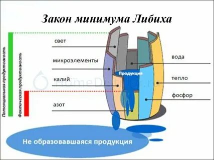 Правило бочки