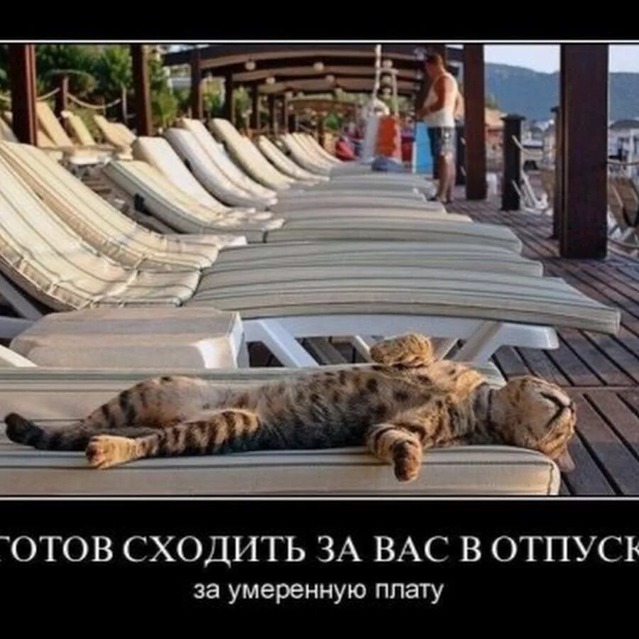 Я в отпуске. Отпуск. Даже в отпуске. Высказывания про отпуск. Цитаты про отдых.