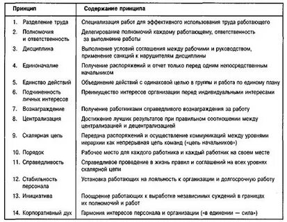Характеристика принципов организации