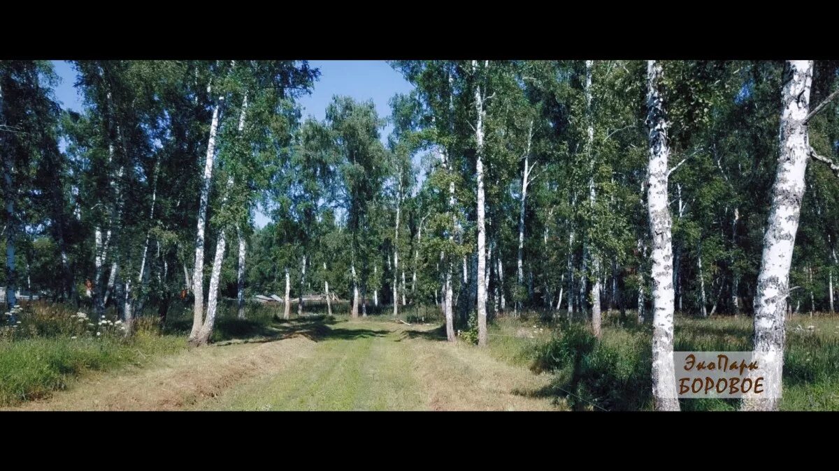 экопарк боровое. база отдыха верх ирмень. агалатово карьер. экопарк боровое. боровое новосибирская область парк.