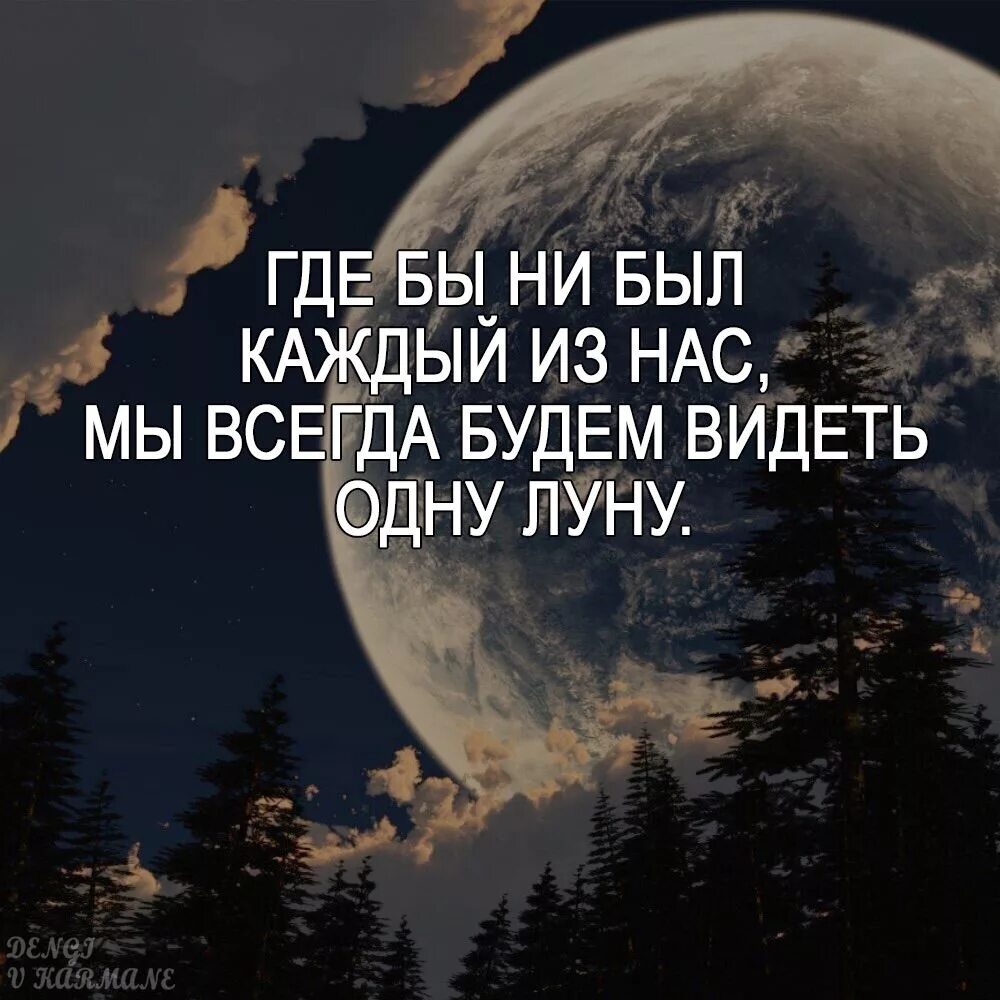 Цитаты ночь жизнь. Афоризмы про луну. красивые высказывания о луне. цитаты про ночь. красивые цитаты про ночь.
