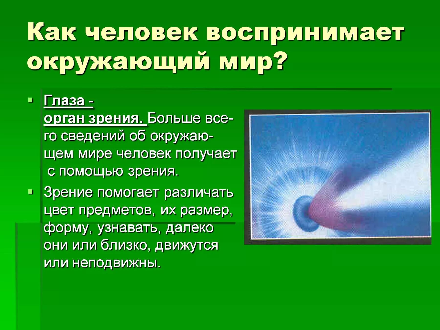 Как человек воспринимает окружающий мир. Как воспринимают человека. Презентация на тему зрение человека. Как человек воспринимает окружающий мир 4 класс доклад.