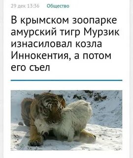 Почему снегурочка дружит с тигром вопрос
