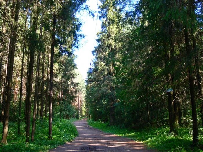 Село порошино. Киров Порошино лес. Порошино Киров тропа здоровья. Порошино Киров летом. Парк Порошино Киров.