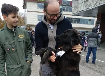 Приют зеленоград