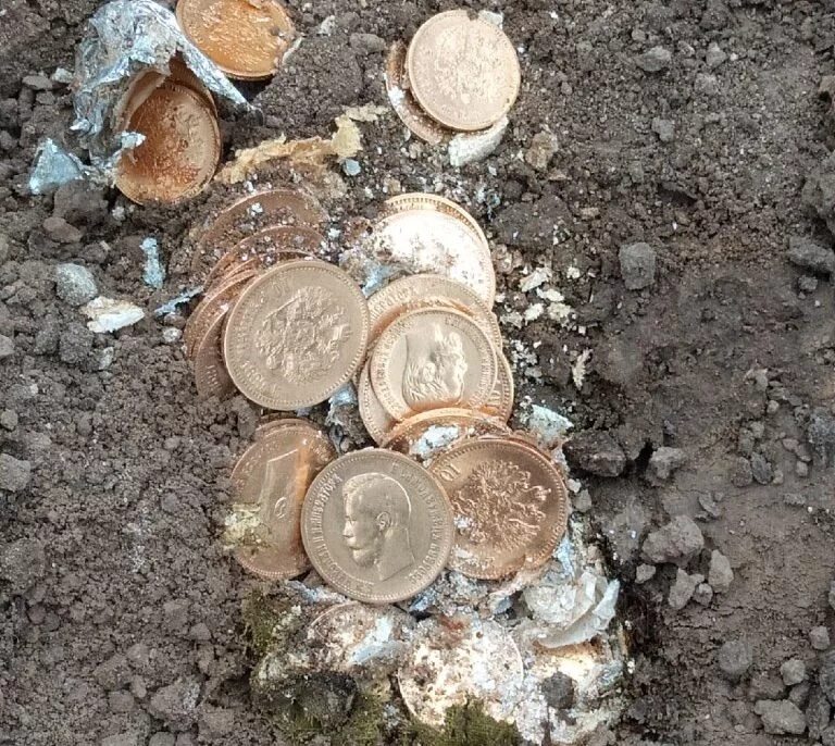 Клад кубышка. Скарб элита картофель семенной. Семенной картофель. Скарб курск. Мини клубни картофеля сорт скарб.