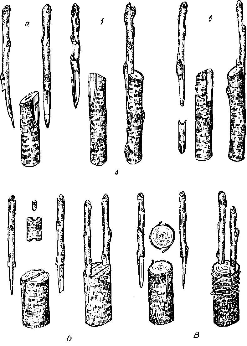 Способы прививки плодовых деревьев окулировка. Прививка яблони в расщеп. Прививки груши копулировка. Прививка в расщеп плодовых деревьев весной. Прививка в расщеп плодовых деревьев
