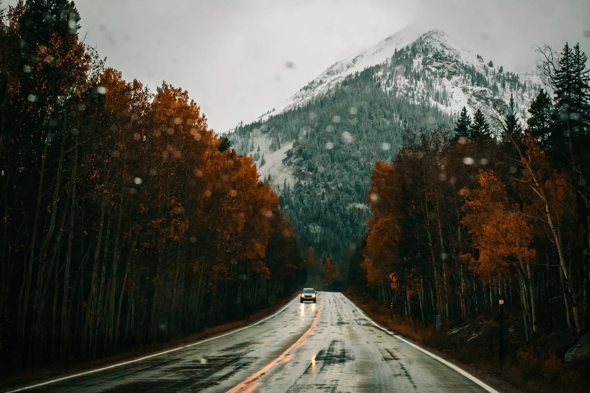 The trees fall across the road