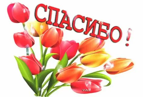 Отдельное благодарю