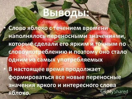 Большое яблоко одним словом