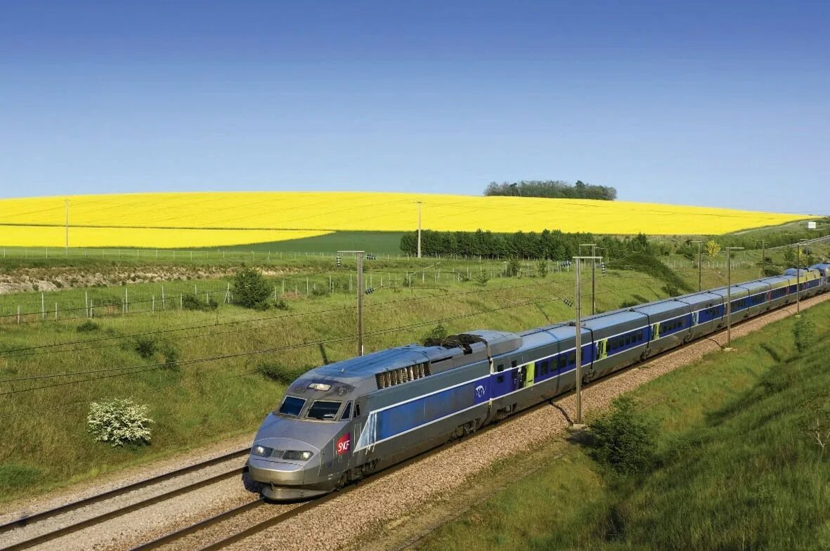 Поезд TGV Франция. Поезд TGV Франция скорость. Скоростной поезд TGV. Высокоскоростные поезда Франции. French train