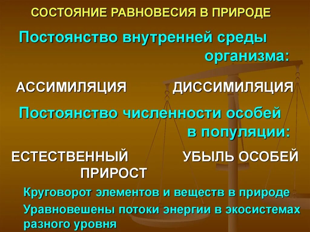 Найти состояние равновесия. Состояние равновесия. Равновесное состояние. Равновесное состояние природы. Равновесное состояние системы.