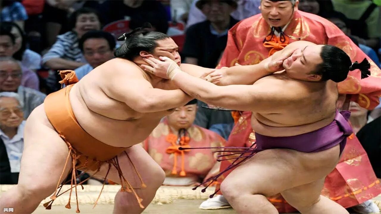 Сумо спорт в Японии. Схватки двух якодзун