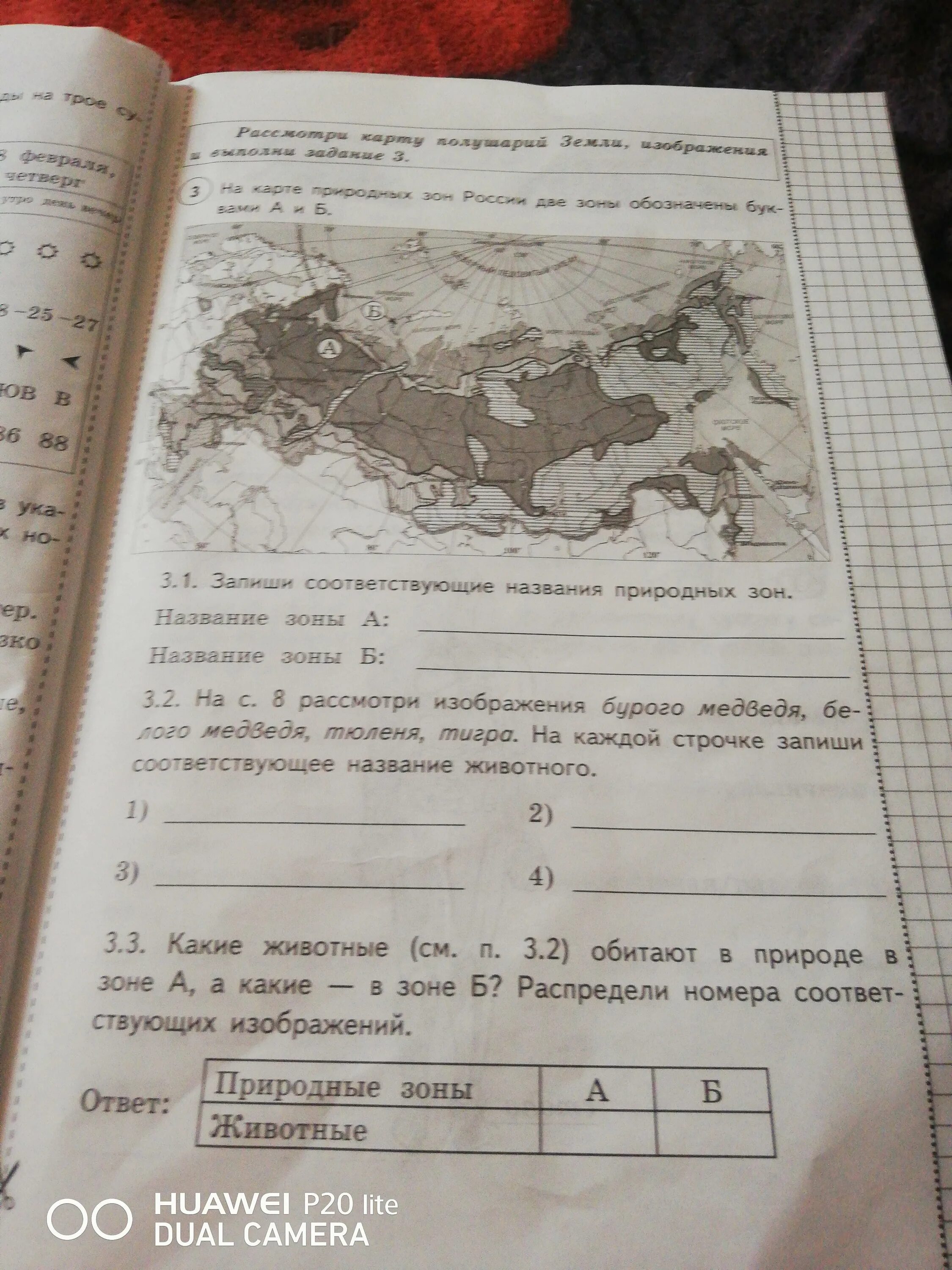 Найдите и запишите название краев. Запиши названия природных зон. запишите название природной зоны. запиши соответствующее название природных зон название зоны а. название природной зоны в которой расположен твой регион.