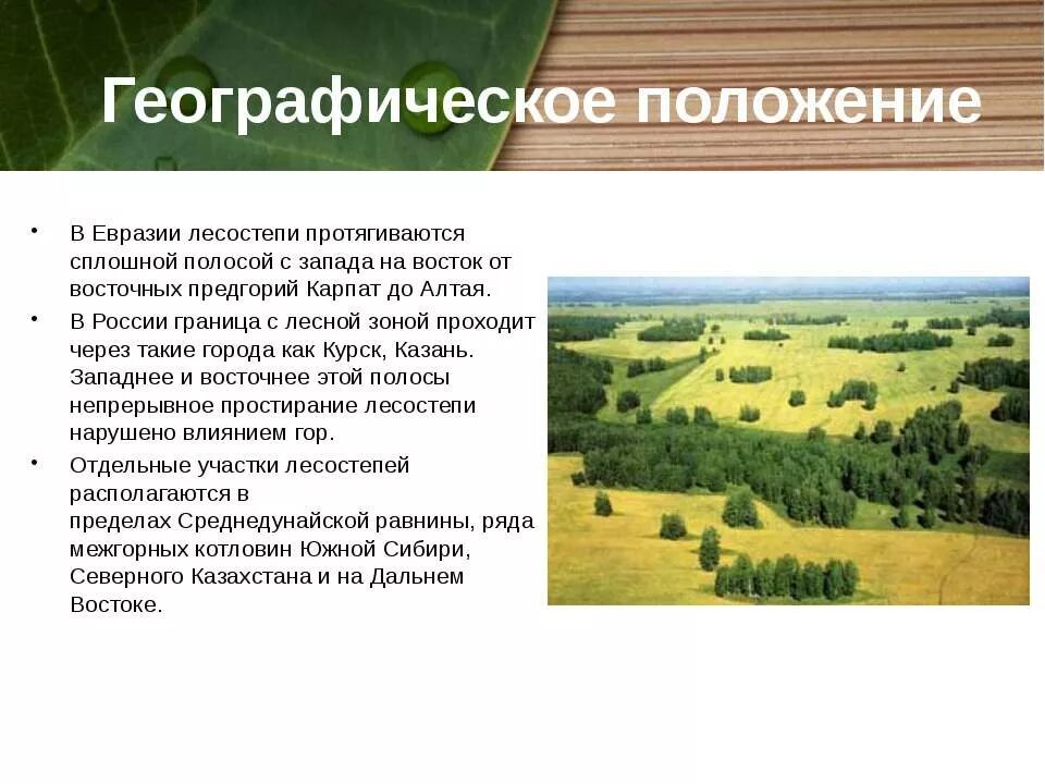 климат лесостепи. географическое положение лесостепи в россии. зоны лесостепей и степей географическое положение. лесостепь географическое положение таблица. лесостепь характеристика природной зоны.