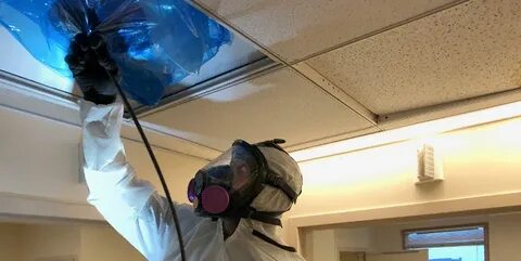 Pure Air Duct Cleaning