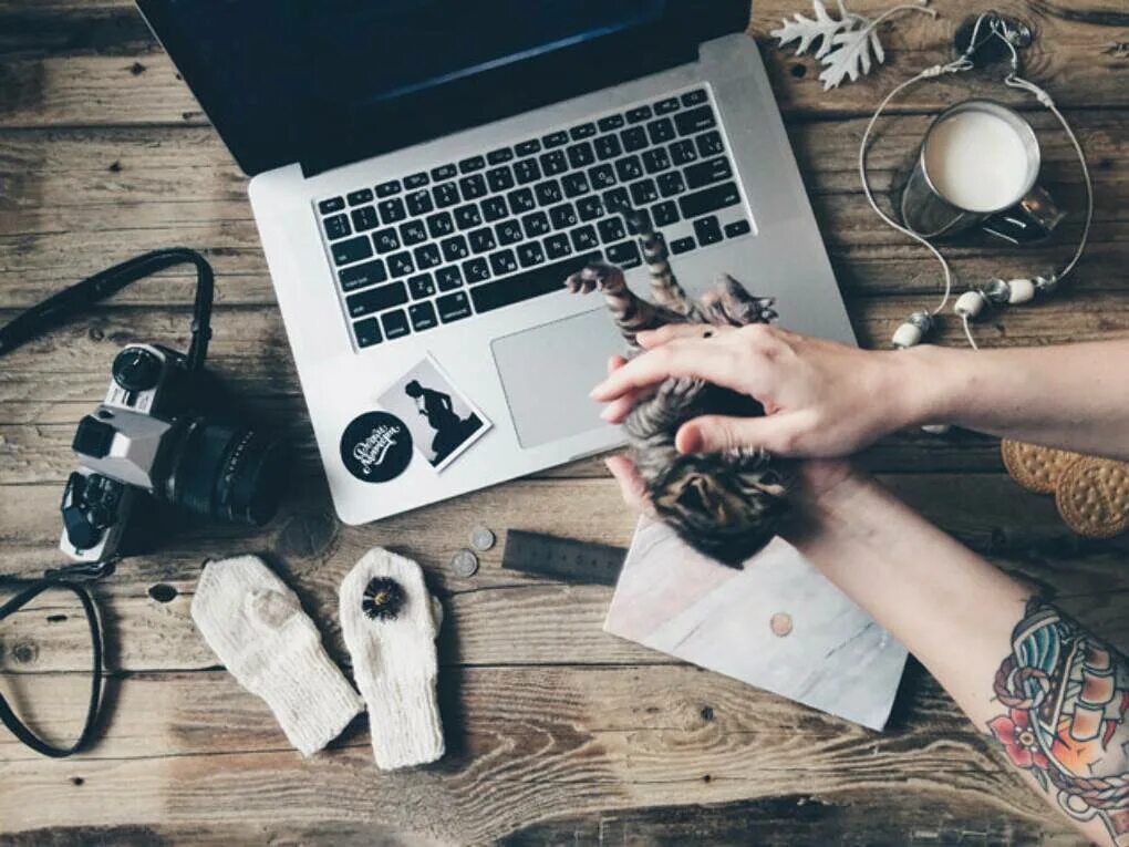 Blogger post
