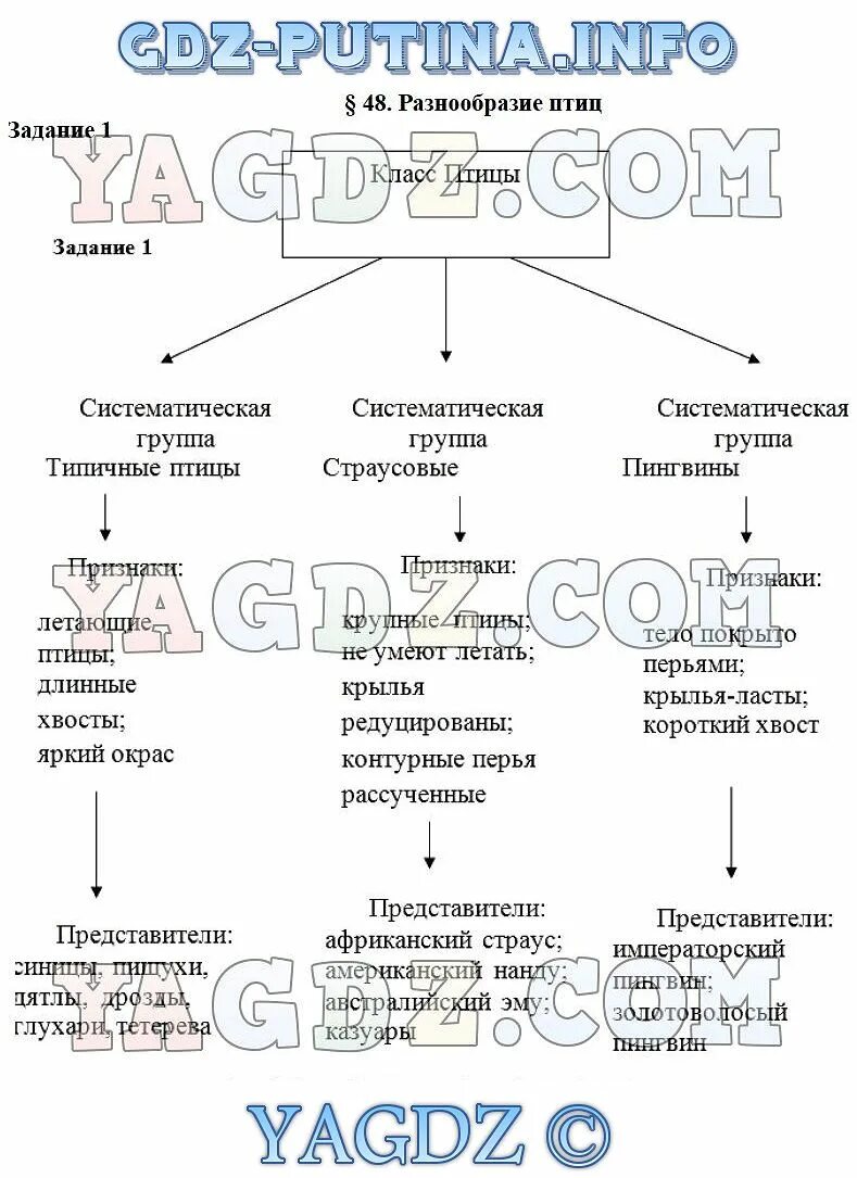 Многообразие птиц таблица. Систематические группы птиц таблица 7 класс биология. Класс птицы 7 класс биология таблица. Класс птиц систематическая группа. Таблица по биологии 7 класс систематические группы птиц.