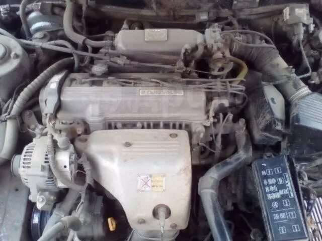 Тойота ипсум двигатель 3s. 3s fe. 3sfe toyota двигатель. 3sfe toyota двигатель. Тойота ипсум двигатель 3s.