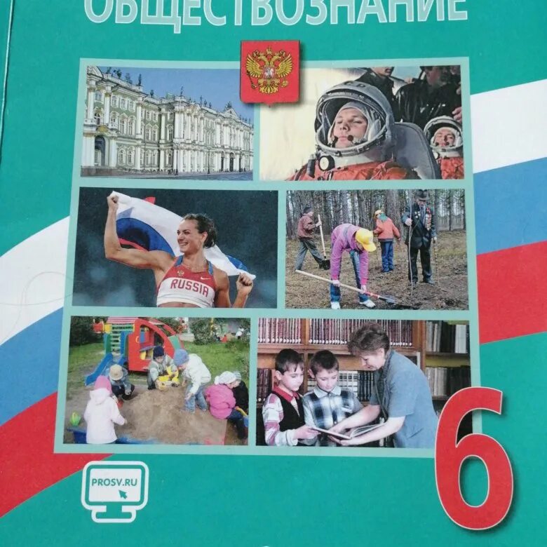 Боголюбов 6 кл. Обществознание 6 класс Виноградова. Обществознание 6 кл Боголюбов Виноградова Городецкая. Учебник Обществознание 6 класс Боголюбов. Учебник по обществознанию 6 класс.