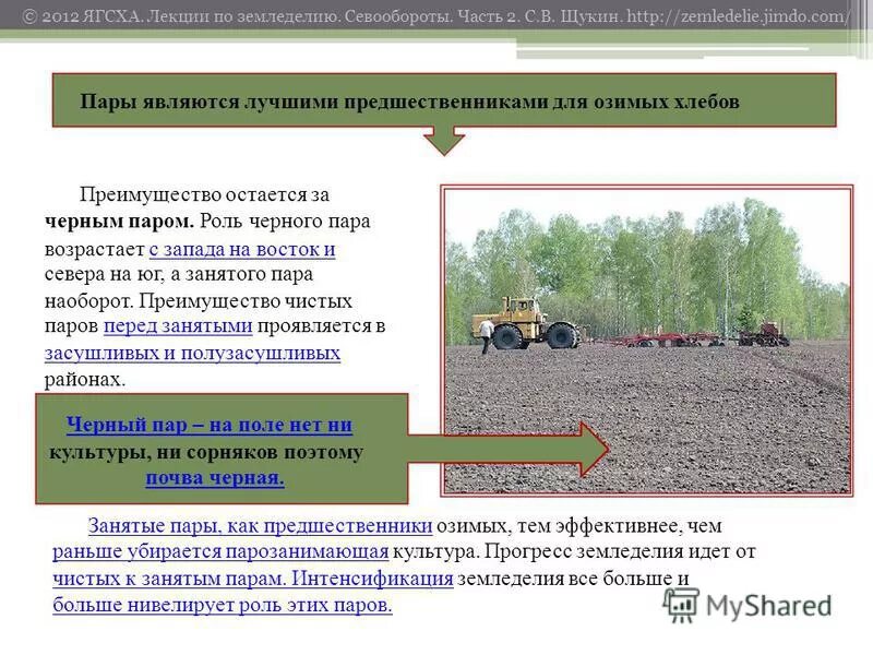 Поле под паром. Паровое поле. Пар в земледелии это. Органическое сельское хозяйство германии. Запашка сидератов в почву.