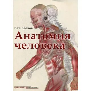 Учебник по анатомии для медицинских вузов